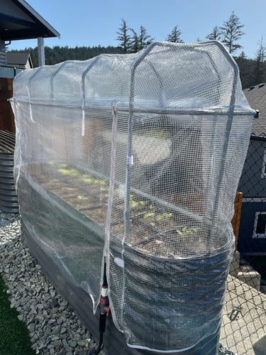 Reviewer's lowered Garden Cover System with the clear greenhouse poly cover fitted over a raised garden bed.