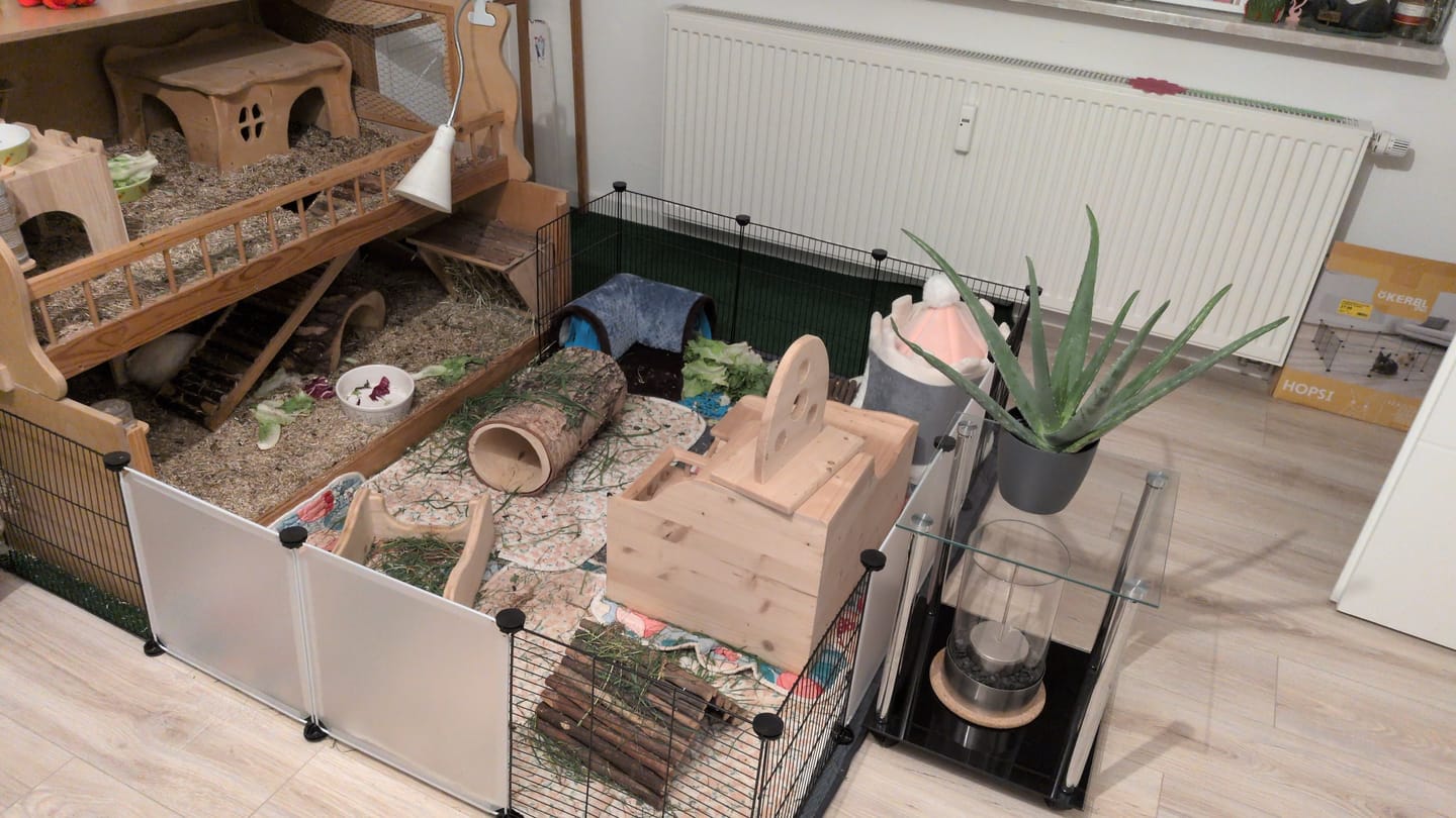 Customer photo review of 🏠 Eck-Waschanlage – Kuschelplatz für Meerschweinchen