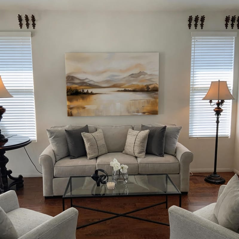 Customer photo review of Abstract Mountain Canvas Art #MO028