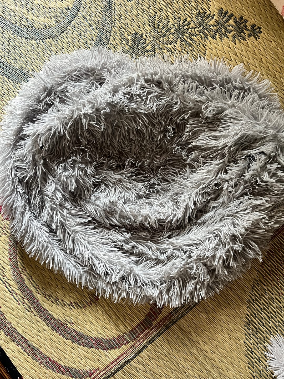 Customer photo review of 替えカバー（日本製クッションベッド専用）