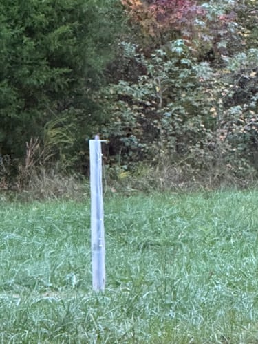 Customer photo review of Tree Pro Grow Tubes