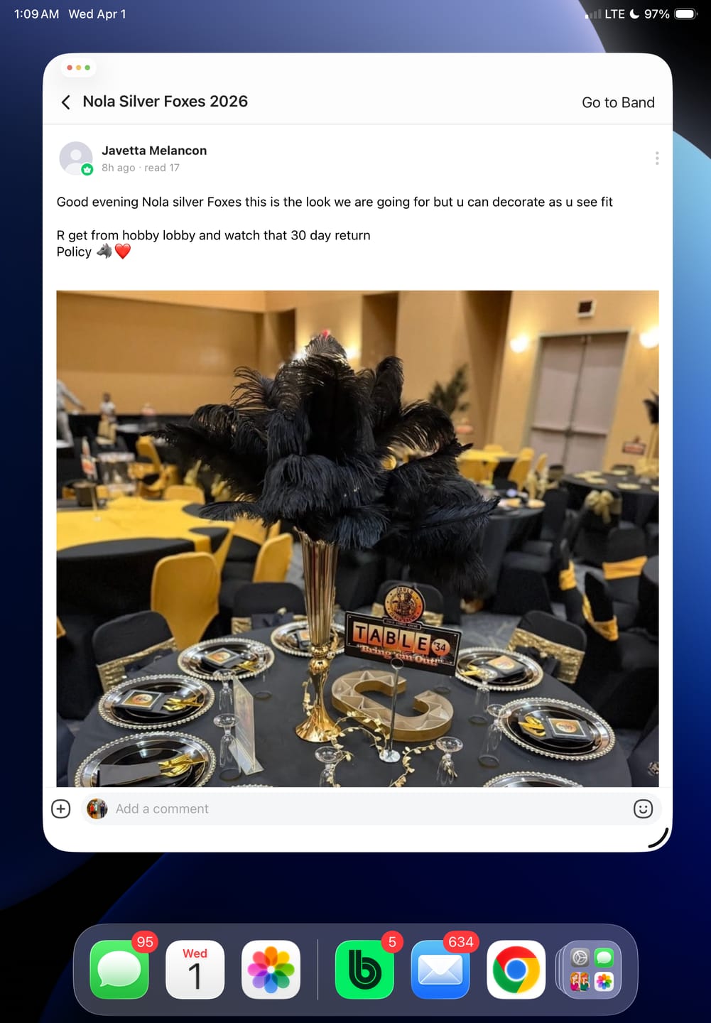 Customer photo review of Ostrich Feather Tail Plumes 9-12" (Black)