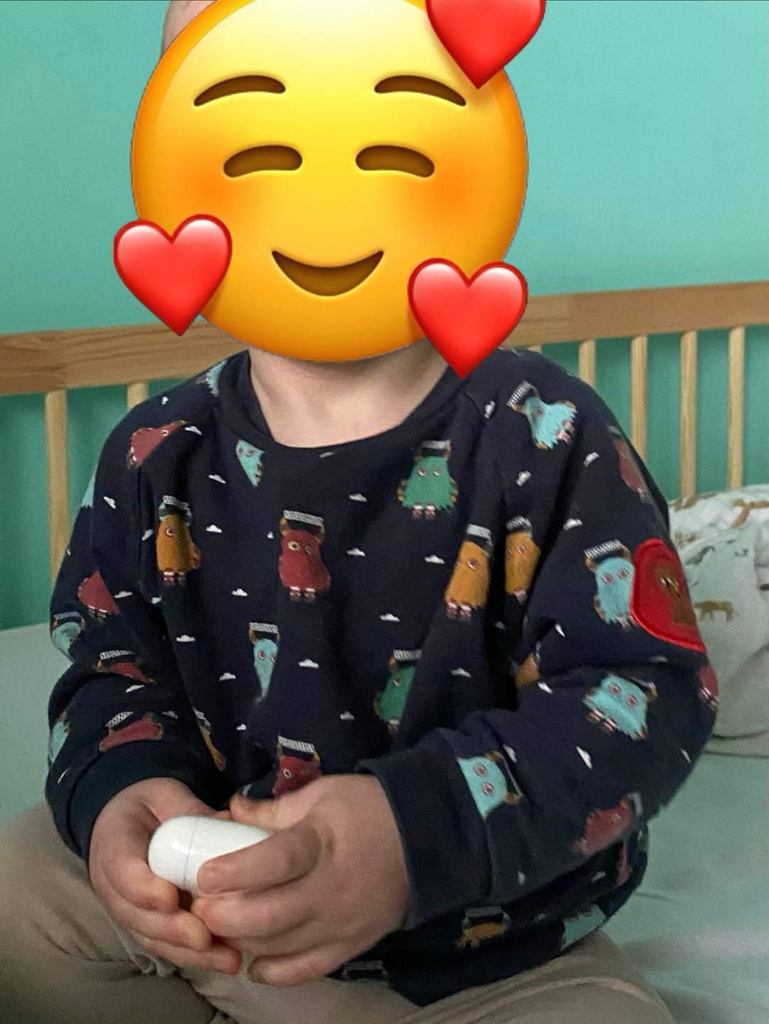 Customer photo review of Little Monsters Long Sleeve Raglan Sweatshirt