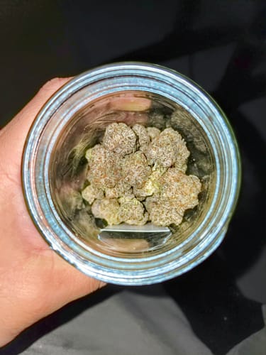 Customer photo review of Dank Dynasty Exotic THCA Flower