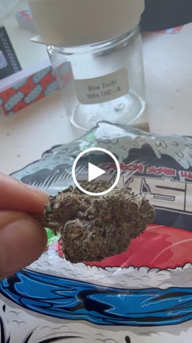 Customer video review of Blue Zushi 30% THCA