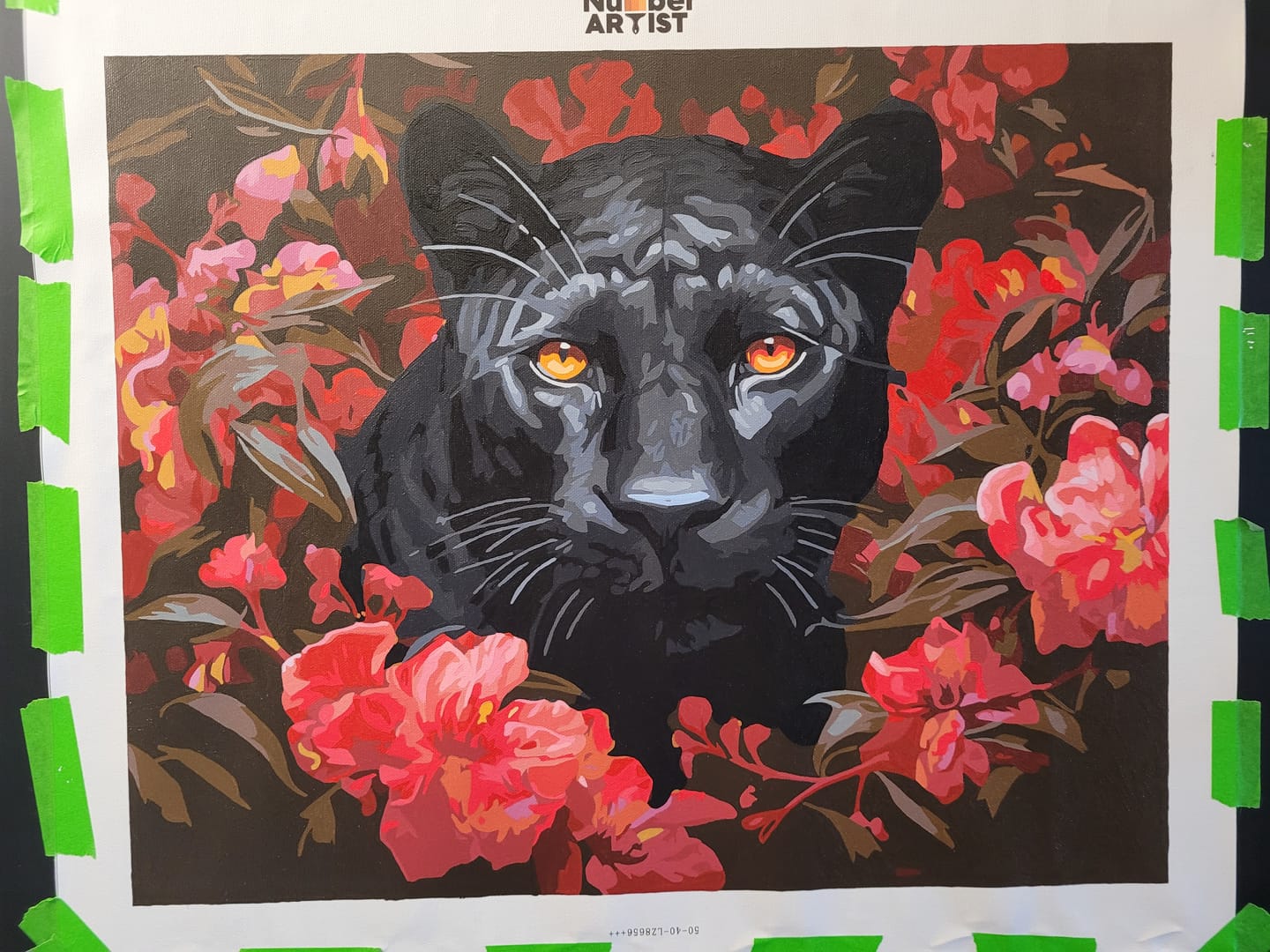Customer photo review of Red Eyed Panther