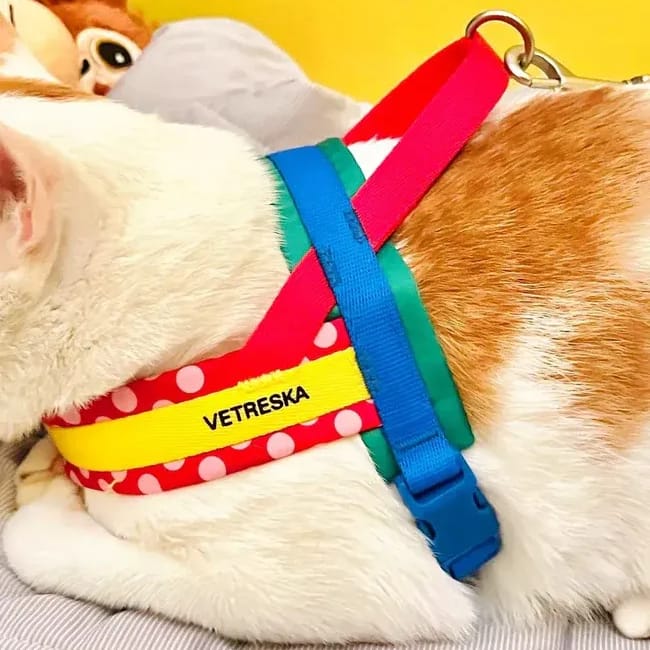 Customer photo review of Chroma Pet Harness & Leash Set (Red)