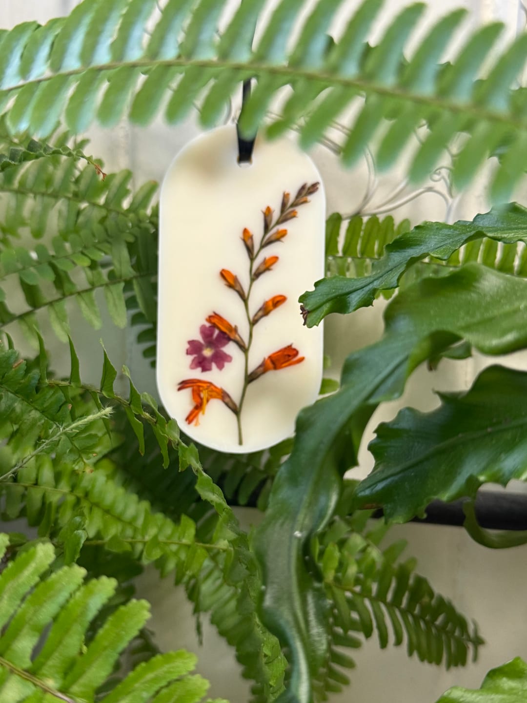 Customer photo review of Botanical Wax Sachet