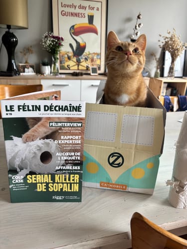 Le client montre son chat roux assis dans une boîte promotionnelle en forme de van, posée sur une table.