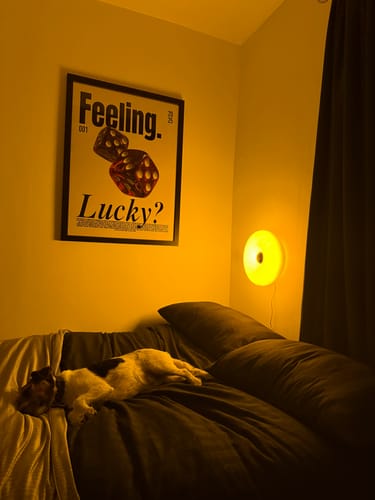 Customer photo review of Feeling Lucky ?