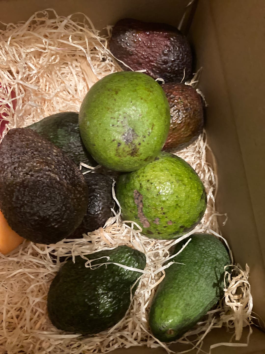 Customer photo review of Avocado-Mix Sonderaktion % 2kg Box