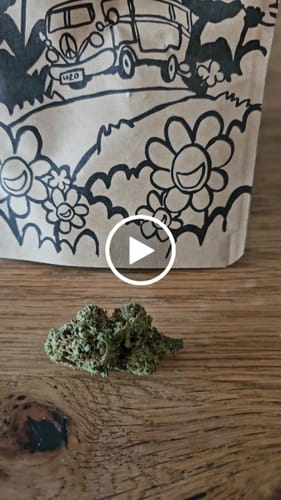 Customer video review of 🧞Purple Kinky Kush – Power Level 5/5