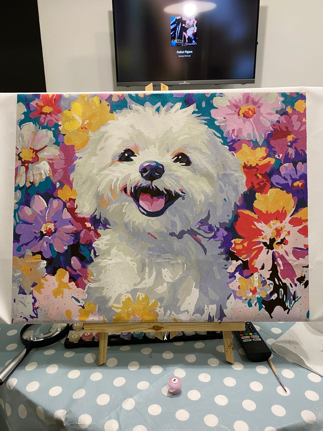 Customer photo review of Bichon Frise
