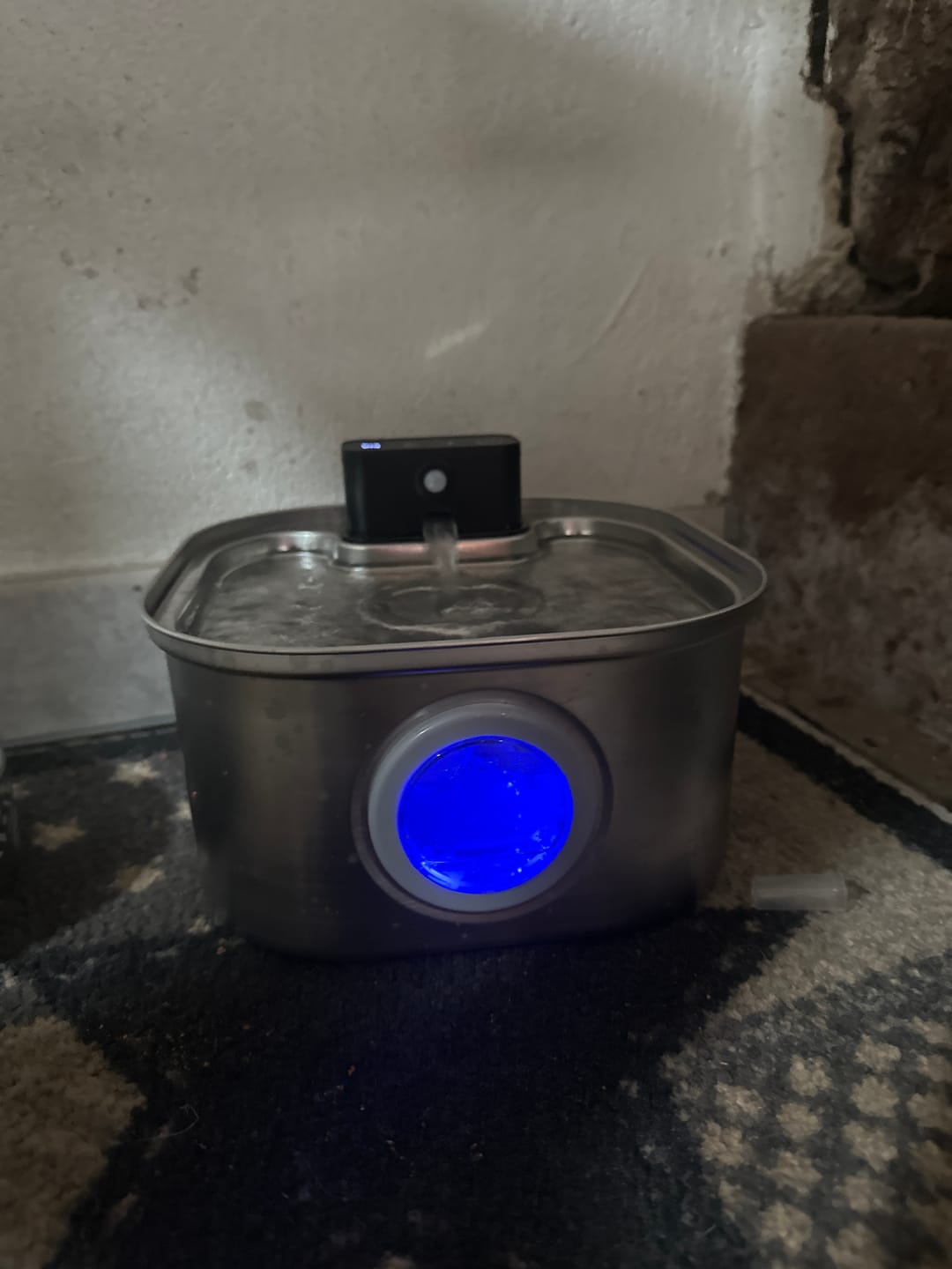 Customer photo review of PfotenBrunnen™ - Katzenwasserspender