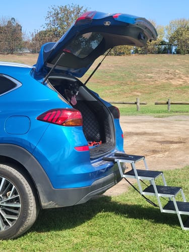 Customer's foldable aluminum pet steps set up to the open trunk of a blue car, with a dog waiting inside.