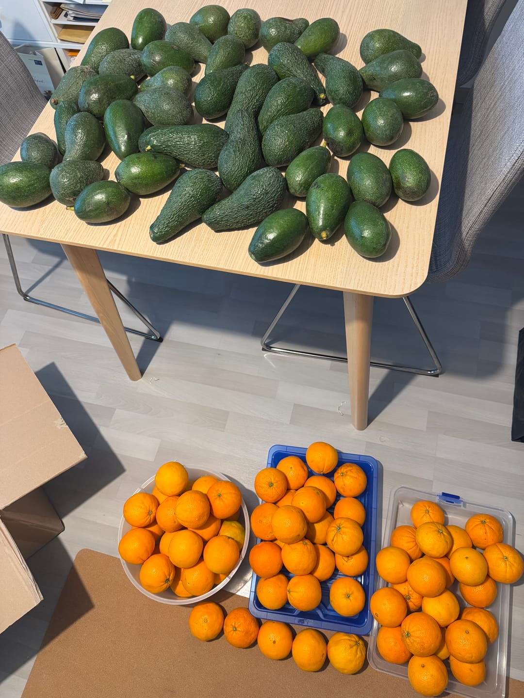 Customer photo review of Avocado Fuerte Bio von Julian Aktionspreis %