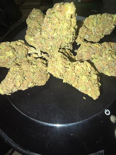 Gusher Mintz - Bulk - Indica photo review