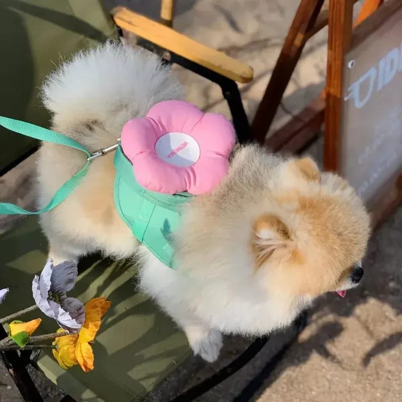 Customer photo review of Flora Backpack & Harness 3 in 1 Set
