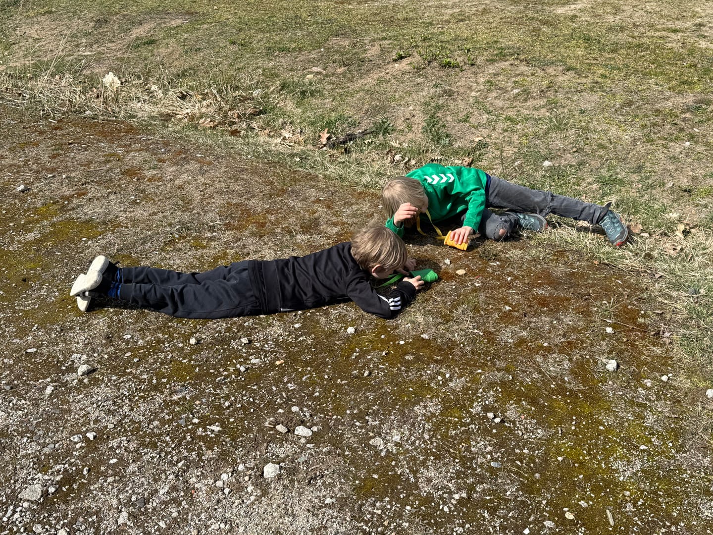 Customer photo review of Edubini Abenteuer-Mikroskop für Kinder