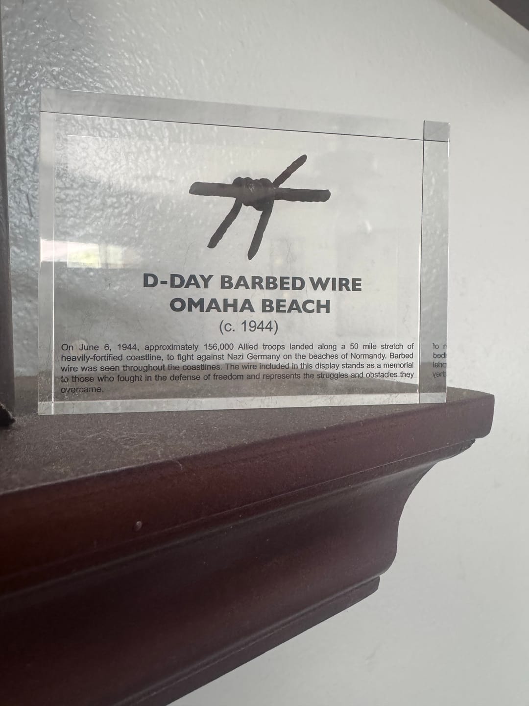 Customer photo review of D-Day Barbed Wire Artifact Display
