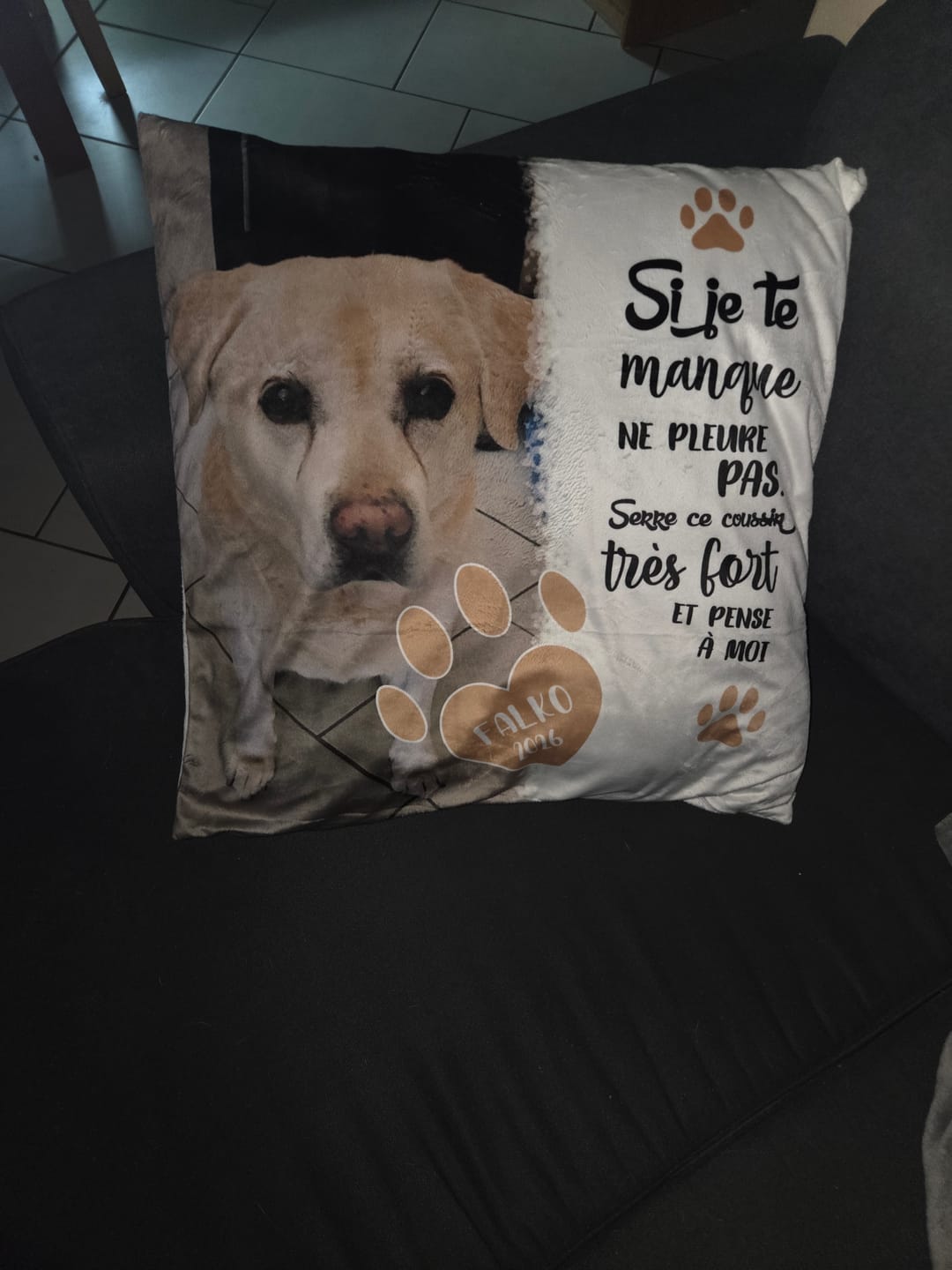 Customer photo review of Si je te manque - Coussin personnalisé