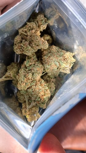 Customer photo review of Larry Bird Gelato THCA Flower
