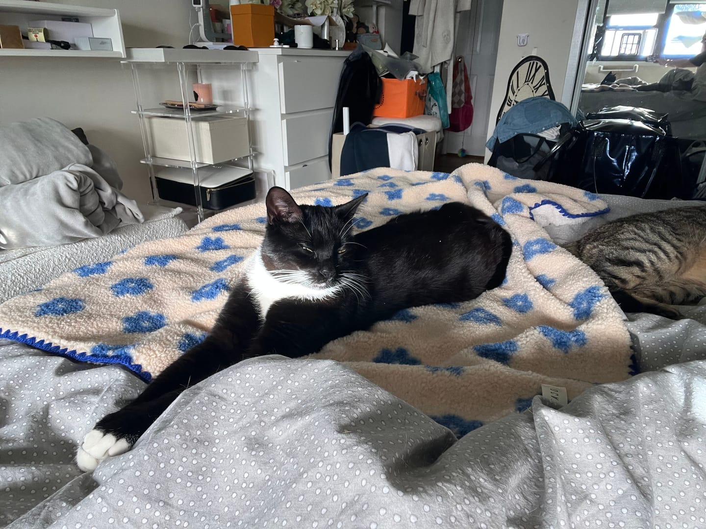 Customer photo review of Little Summer Blanket
