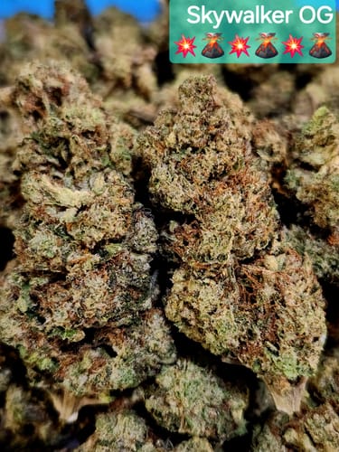 Customer photo review of Cheap THCA Flower Quarter Pound