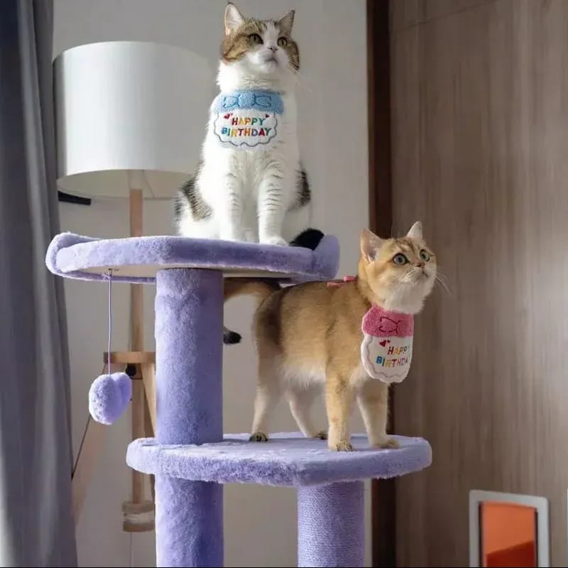 Customer photo review of Heartpurrink Cat Climber (4 Platform)