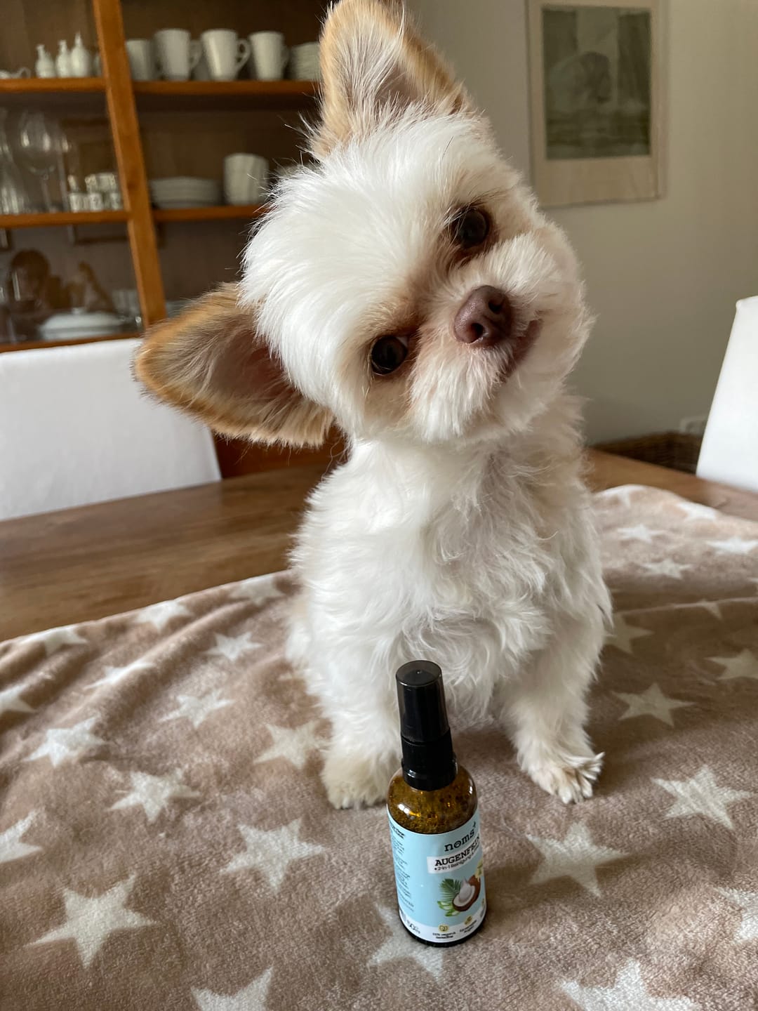 Customer photo review of 2-in-1 Augenfein Reinigung & Pflege für Hunde & Katzen mit kolloidalem Silber