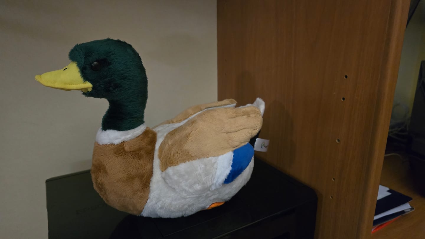Customer photo review of Mallard Duck Bird Soft Stuffed Plush Toy