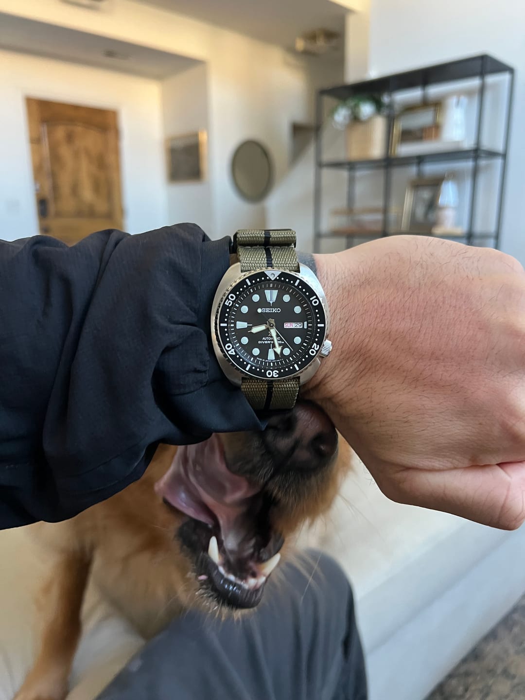Customer photo review of Five Eye Nylon Watch Strap - PVD/Black