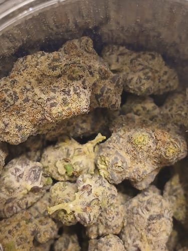 Customer photo review of Rainbow Inferno