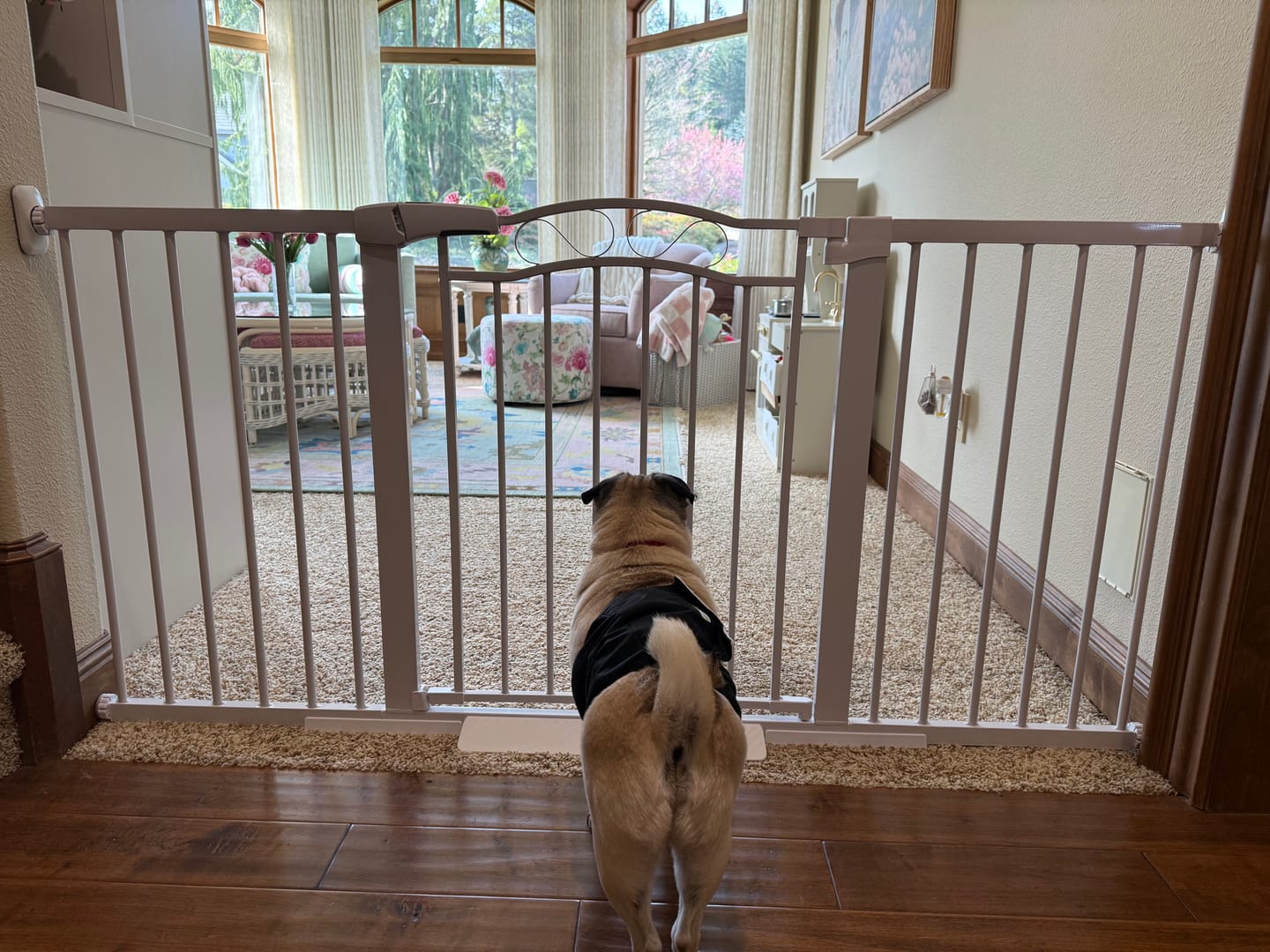 Customer photo review of FairyBaby Arch-Shaped Walk Through Baby Gate With 23.5" Extra Wide Walk Through Door