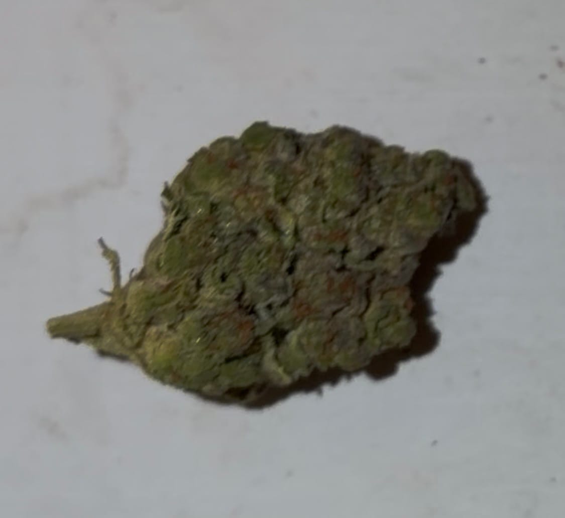 Customer photo review of Biscotti 33 - Bulk - Indica
