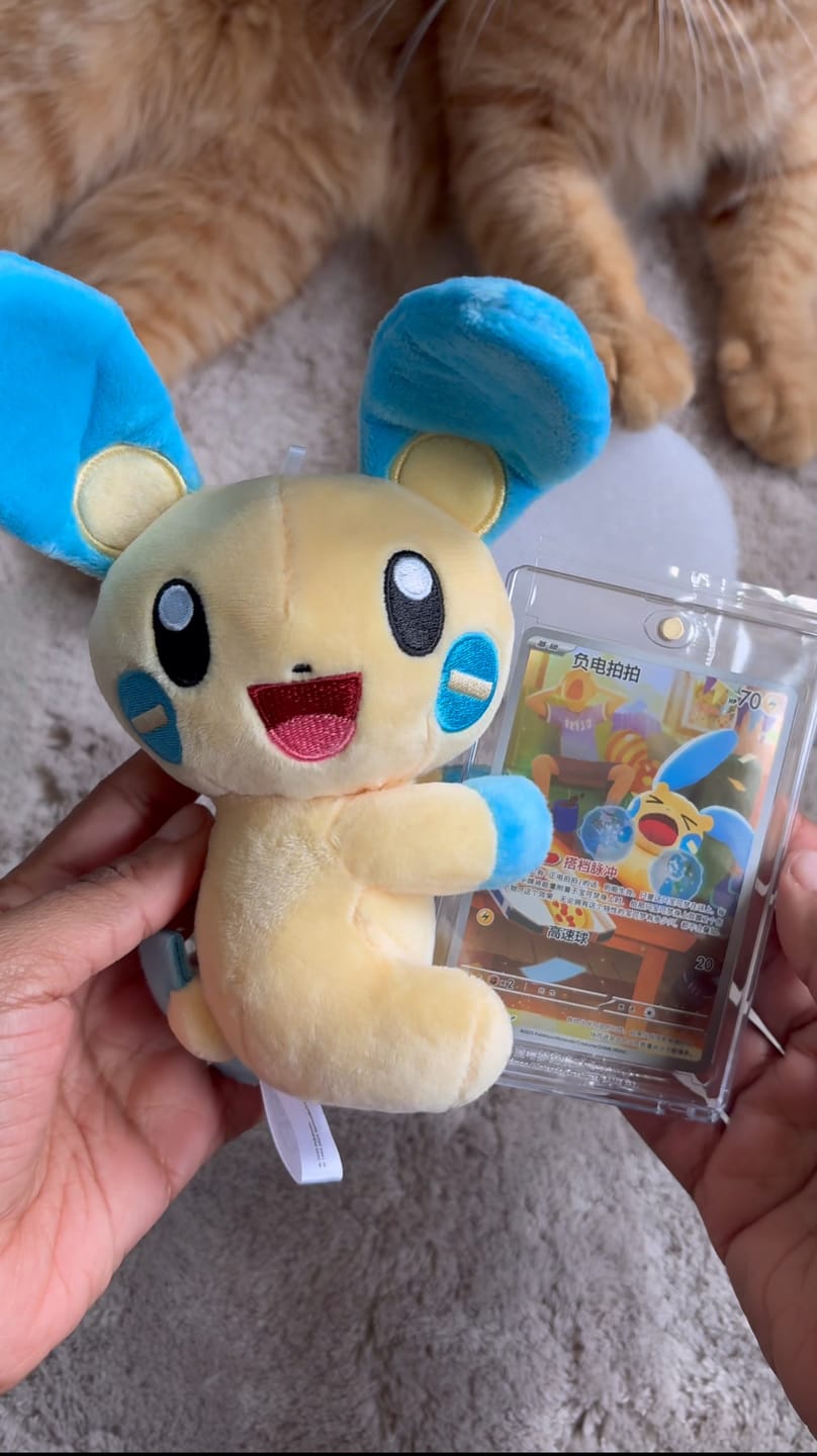 Customer photo review of Pokemon TCG Electric Plush Blind Box - Simplified Chinese