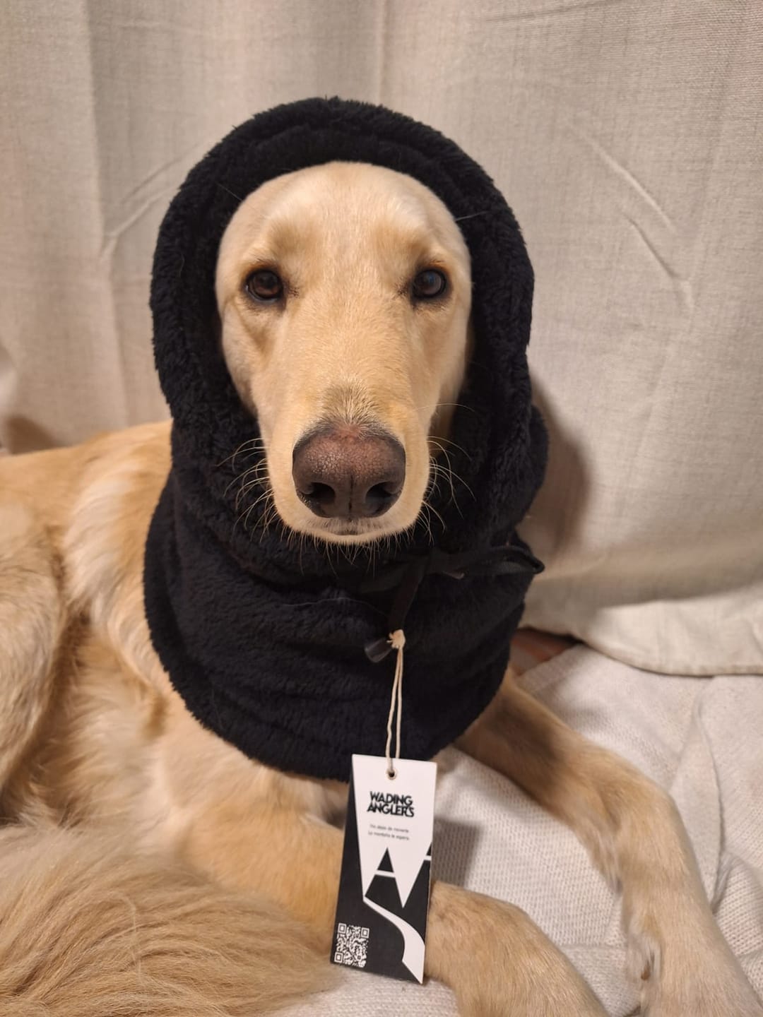 Customer photo review of Gorro Antuco Menta Unisex