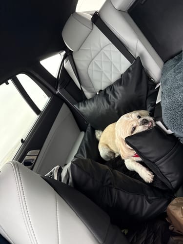 Customer photo review of The Dog Dock V2 New & Improved with ISO Fix