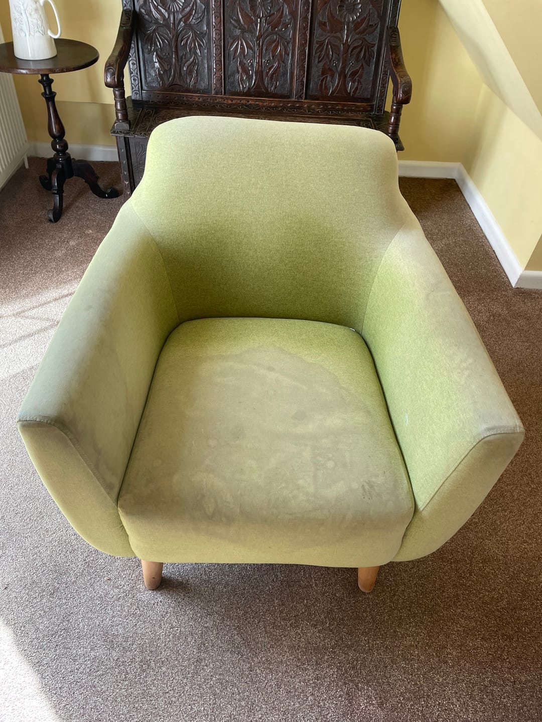 Customer photo review of Fabric Paint -- Olive