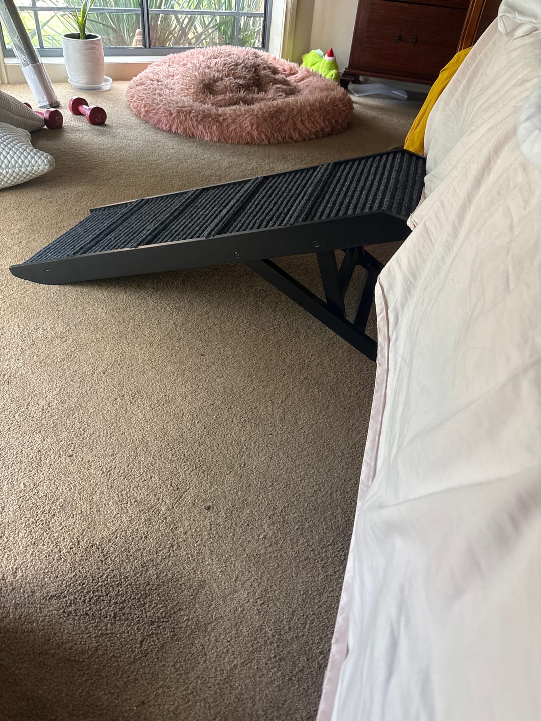 Customer photo review of Adjustable Height Dog Ramp