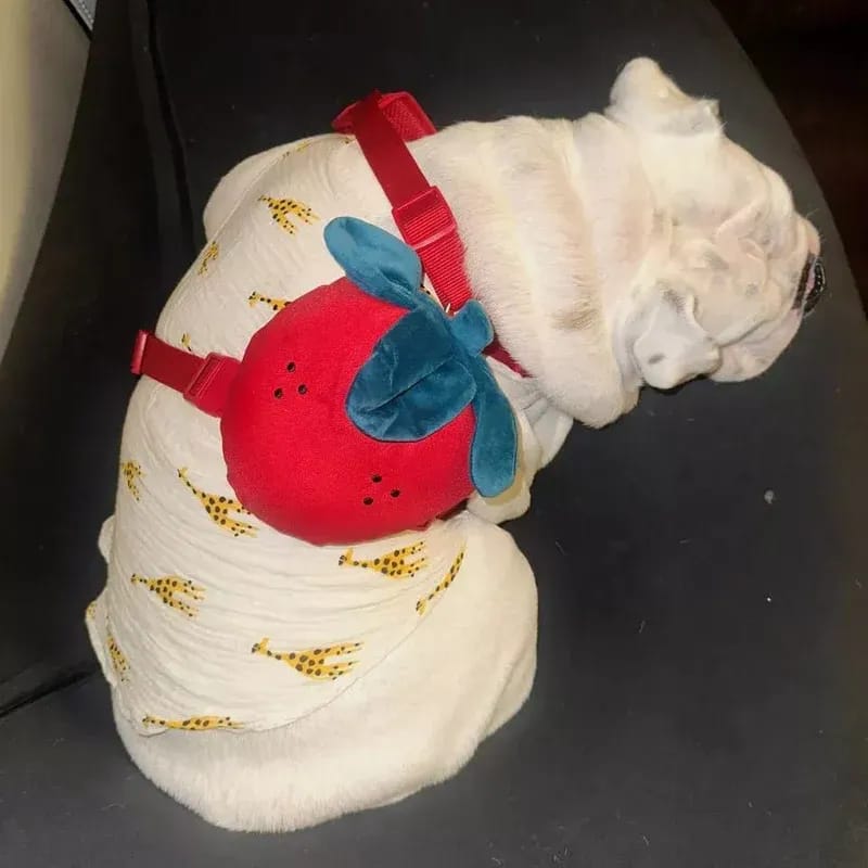 Customer photo review of Strawberry Pet Backpack & Harness 3 in 1 Set