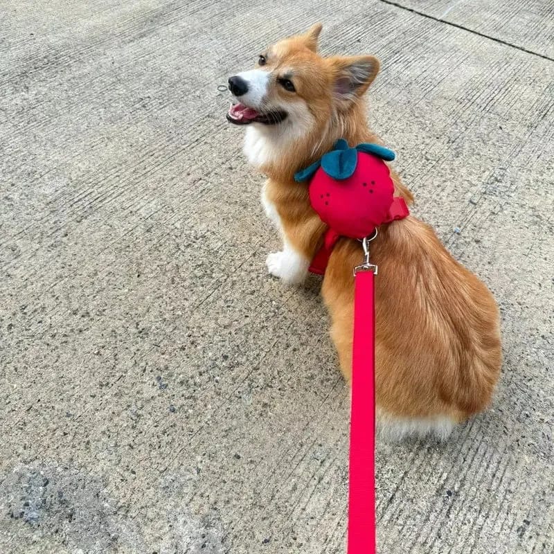 Customer photo review of Strawberry Pet Backpack & Harness 3 in 1 Set