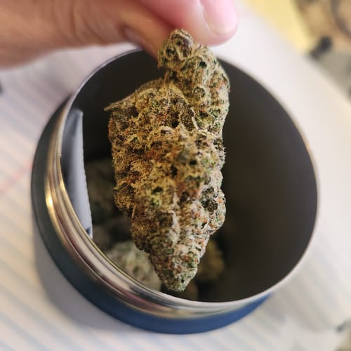 Customer photo review of Rainbow Inferno