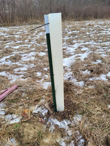 Customer photo review of Tree Pro Grow Tubes