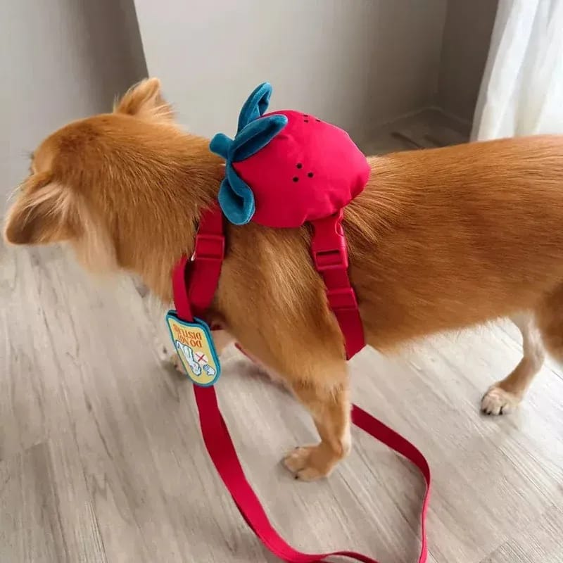 Customer photo review of Strawberry Pet Backpack & Harness 3 in 1 Set