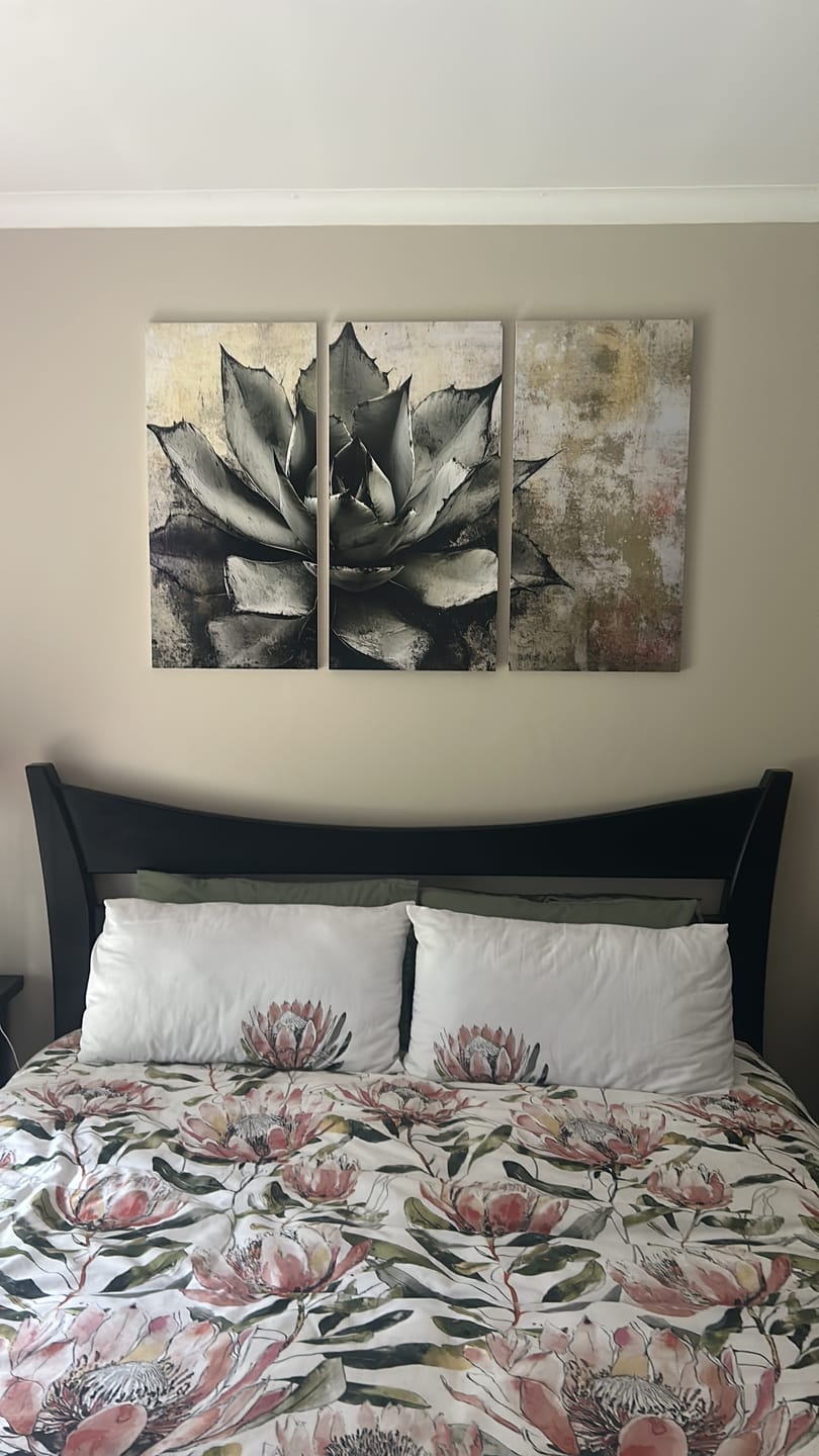 Customer photo review of Wooden Wall Art | 3 Set | Plant | Succulent