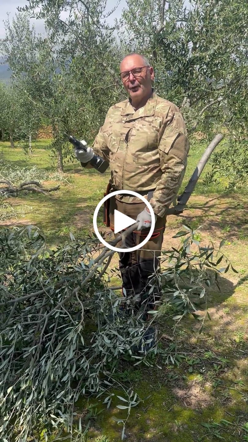Customer video review of Forbici Swansoft PRU-45 PLUS