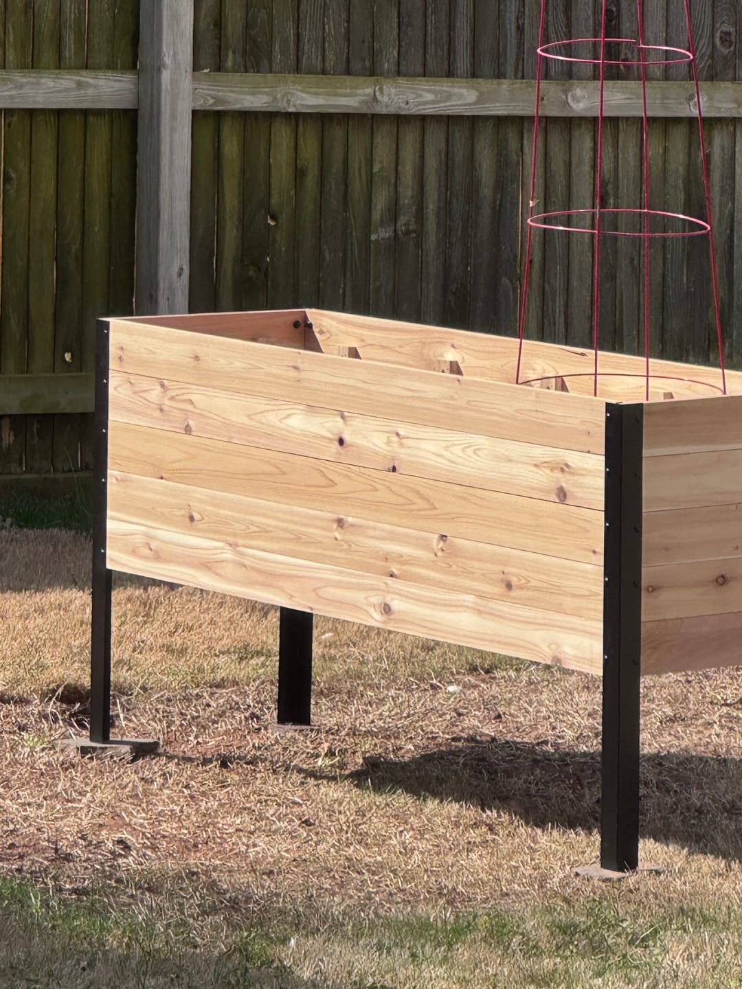 Customer photo review of 18" x 60" Raised Garden Bed - 30" TALL / Garden Grade