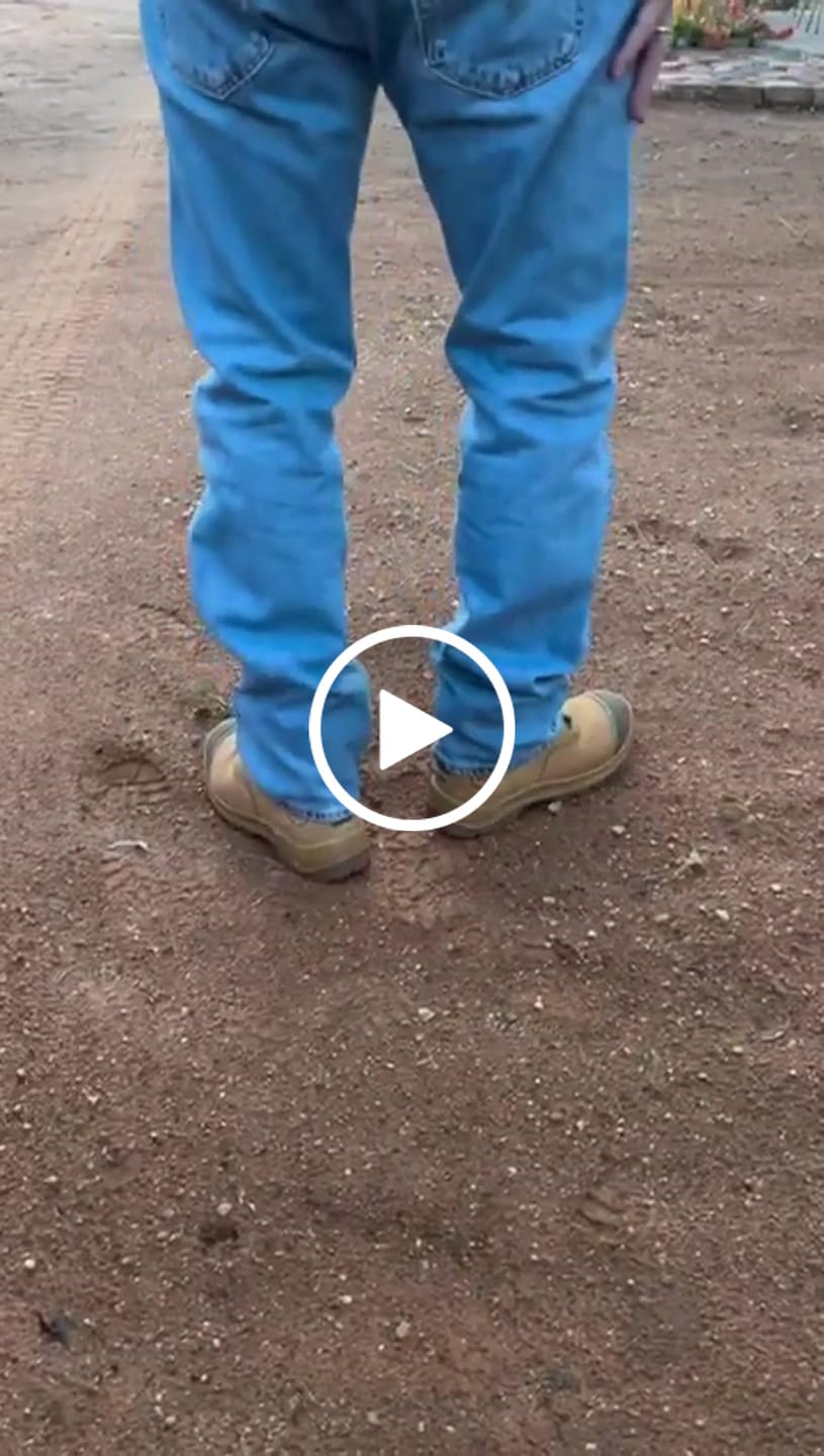 Customer video review of Brawn Safety Work Boots Tan