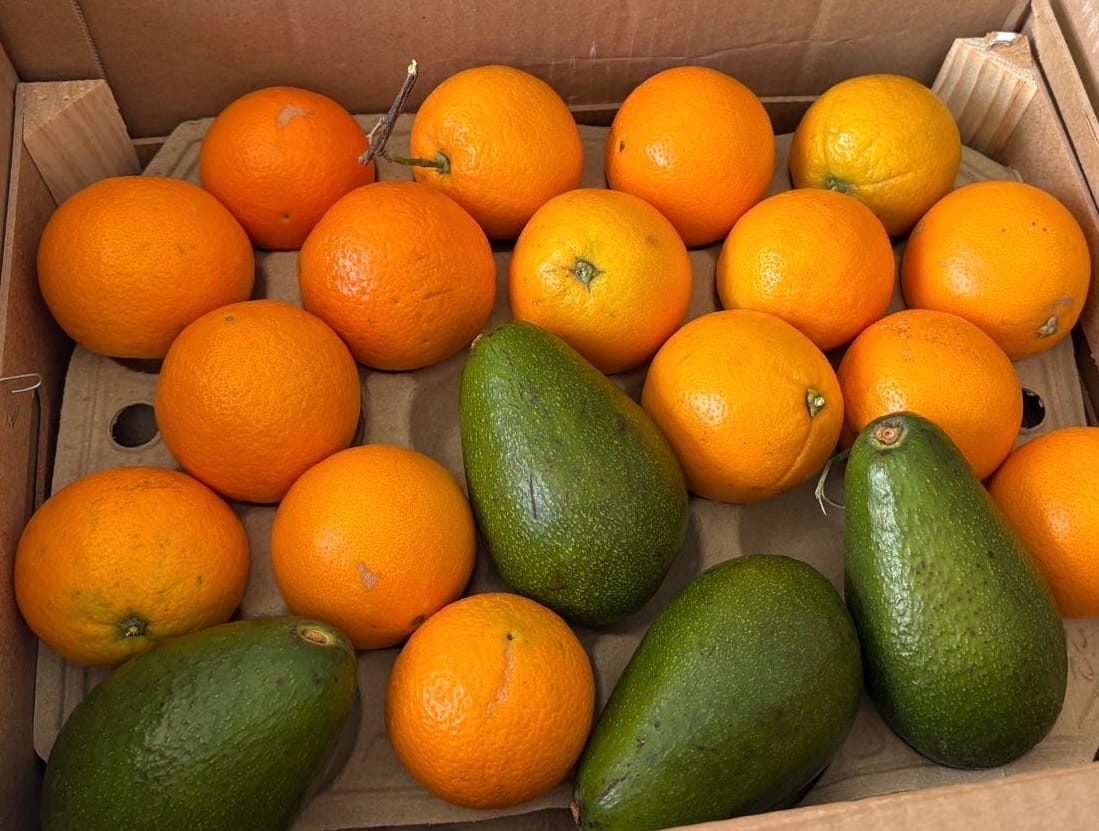 Customer photo review of Saft-Orangen Bio aus Sizilien